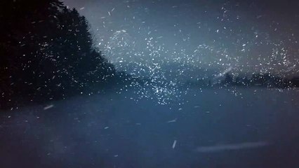 The Head Hunter Bande-annonce (EN)