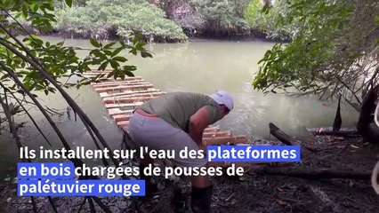 En Équateur, des îles flottantes pour sauver l'estuaire de Guayaquil