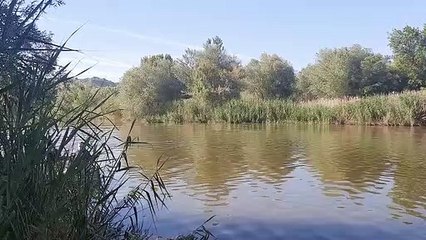 Tratamiento larvicida contra mosquitos