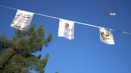 GastroAntep ile gastronominin kalbi gazi şehirde attı