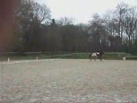 COncOurs dressage 8 mars 2008 { MOi et jérichO }