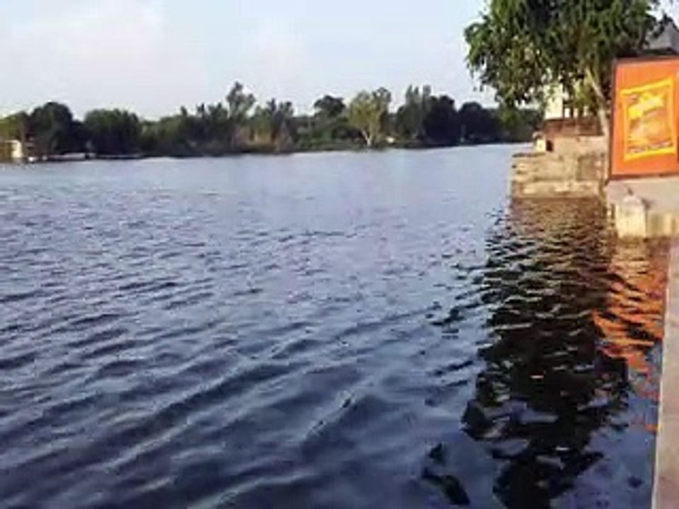 video: साथी की जान बचाई, दोस्ती का फर्ज निभाया