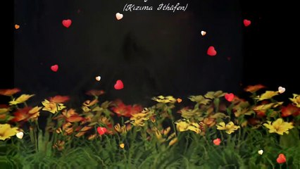 Meleğim Yorum Klip Aynur AVCI Kızıma İthâfen 19.Eylül.1994