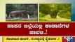 ಮೈಸೂರು, ಹಾಸನ, ಮಡಿಕೇರಿಯಲ್ಲಿ ಕಾಡಾನೆಗಳ ಹಾವಳಿ | Elephants | Public TV
