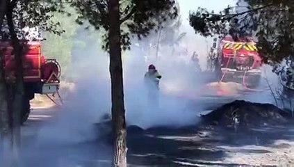 Un départ de feu à Martigues au port pétrolier de Lavéra