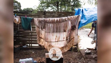 Huracán Fiona golpeó de esta forma la isla Guadalupe