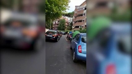 Roma, otto cinghiali "scortati" da un'auto dei carabinieri