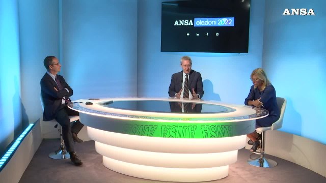 Ansa Elezioni: + Europa Rivedere RDC ma tenerlo, non investire sulle pensioni ma sui giovani