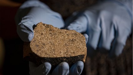 Meteorite that crashed into Gloucestershire driveway holds extra-terrestrial water: First of its kind in the UK