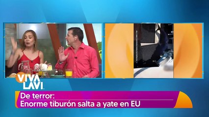 ¡De terror! Tiburón salta directo a yate de pesca
