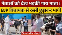 BJP विधायक Suresh Rawat की मीडिया के सामने ही भाग गई गाय, देखें वीडियो | वनइंडिया हिंदी |*News