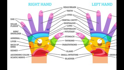 1 Points दबाने से होगा रोज पेट साफ | कब्ज दूर करने के उपाय | Acupressure Therapy | Health and Fitness | Fit2spiritual