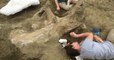 États-Unis : des scientifiques déterrent un crâne géant de tricératops dans le Dakota du Sud