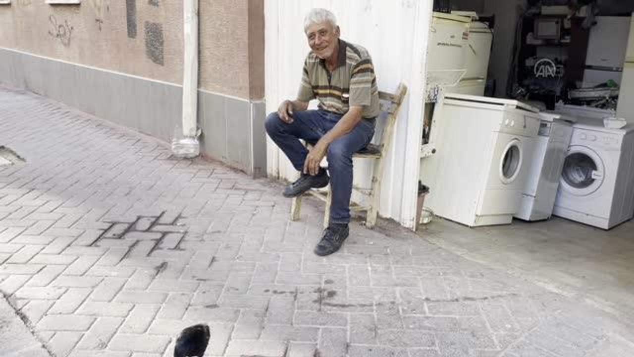 ESKİŞEHİR - Yavru karga mahallelinin ilgi odağı oldu