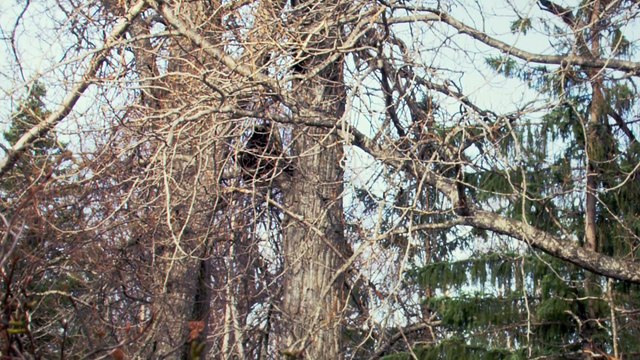 Alaska, Earth's Frozen Kingdom - S01E01 - Spring