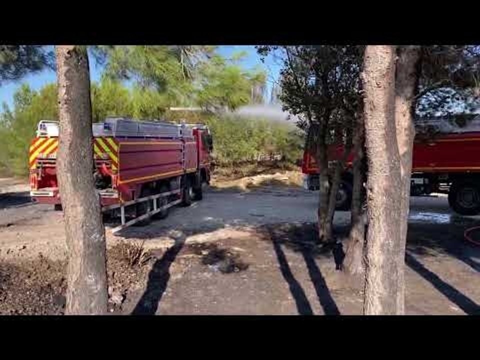 Martigues : un feu de broussailles maîtrisé à côté du site de Primagaz