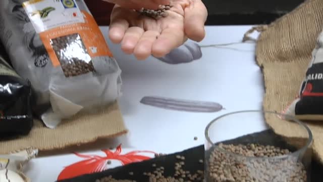 Campaña del Gobierno para fomentar los hábitos saludables