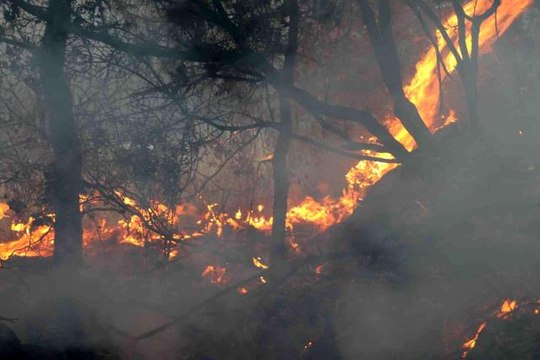 Son dakika haberleri... Alanya'da ikinci orman yangını büyümeden söndürüldü