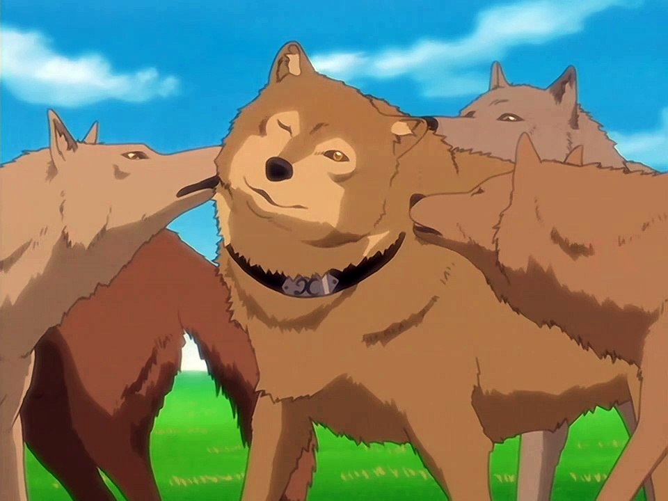 Wolf’s Rain Staffel 1 Folge 8 HD Deutsch