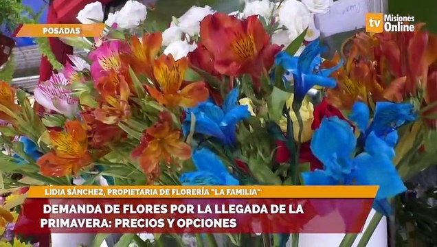 Demanda de flores por la llegada de la primavera precios y opciones