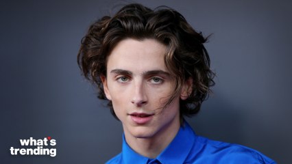 The History of Heartthrob Timothée Chalamet