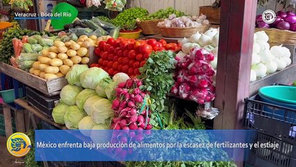 México enfrenta baja producción de alimentos por la escasez de fertilizantes