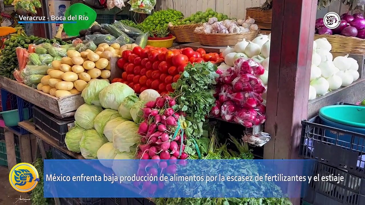 México enfrenta baja producción de alimentos por la escasez de fertilizantes