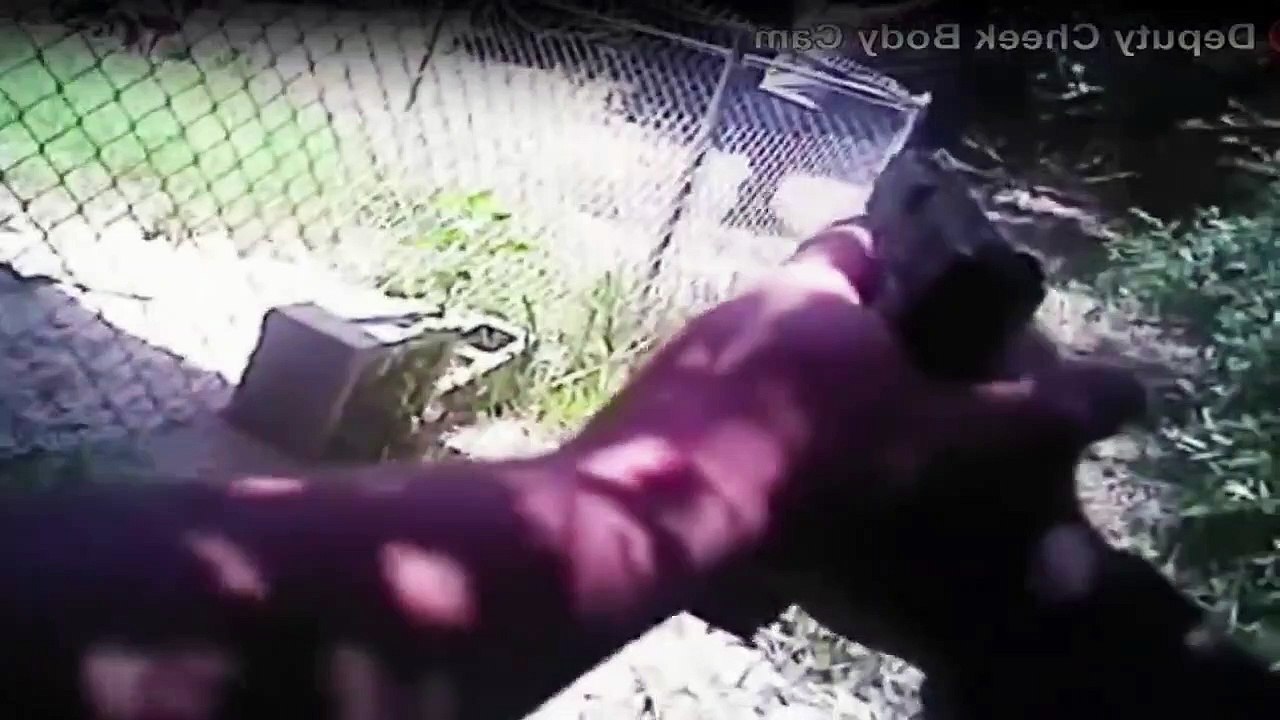 Body Cam 911 - Polizeieinsatz hautnah Staffel 1 Folge 1 HD Deutsch