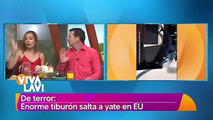¡De terror! Tiburón salta directo a yate de pesca