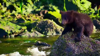 Eden auf Erden - Die letzten Paradiese Staffel 1 Folge 6 HD Deutsch