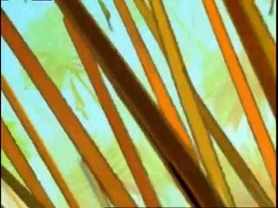 Papyrus Staffel 2 Folge 5 HD Deutsch