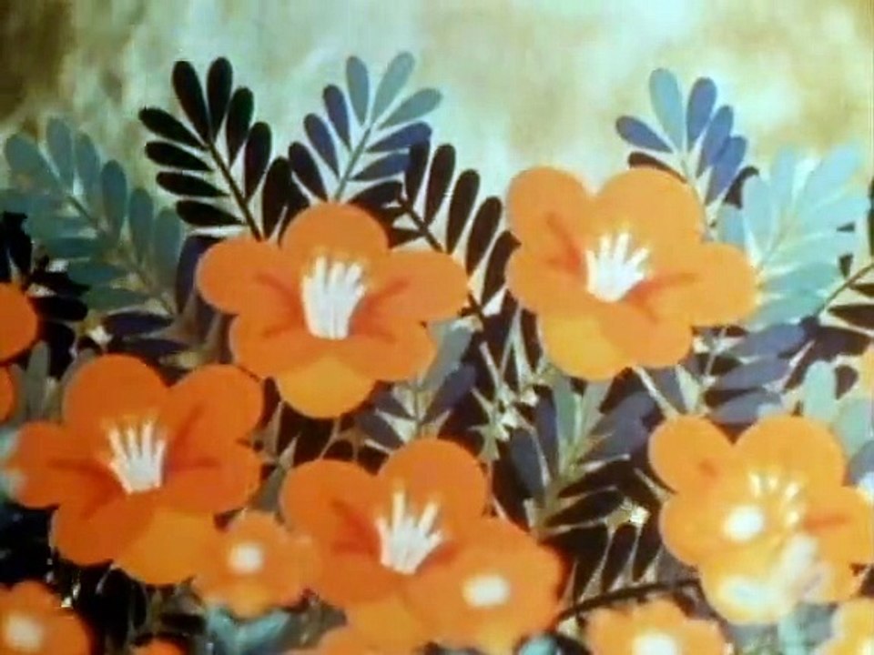 Tao Tao - Tiergeschichten aus aller Welt Staffel 1 Folge 25 HD Deutsch