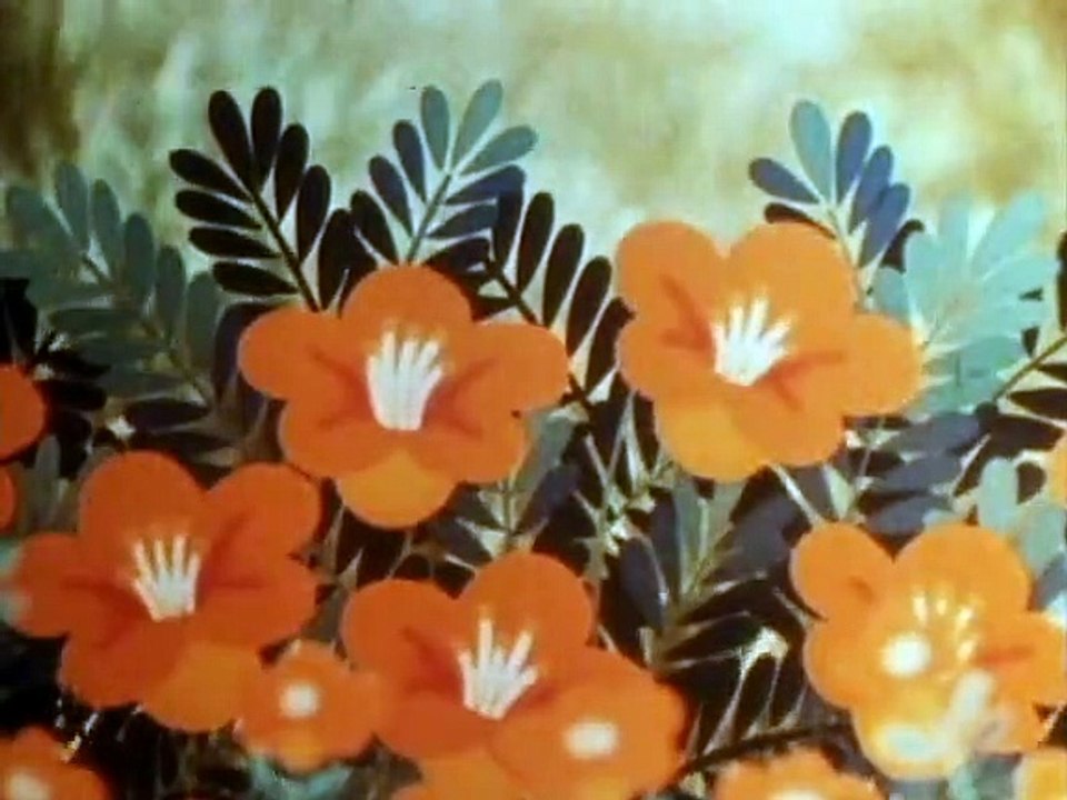 Tao Tao - Tiergeschichten aus aller Welt Staffel 1 Folge 24 HD Deutsch