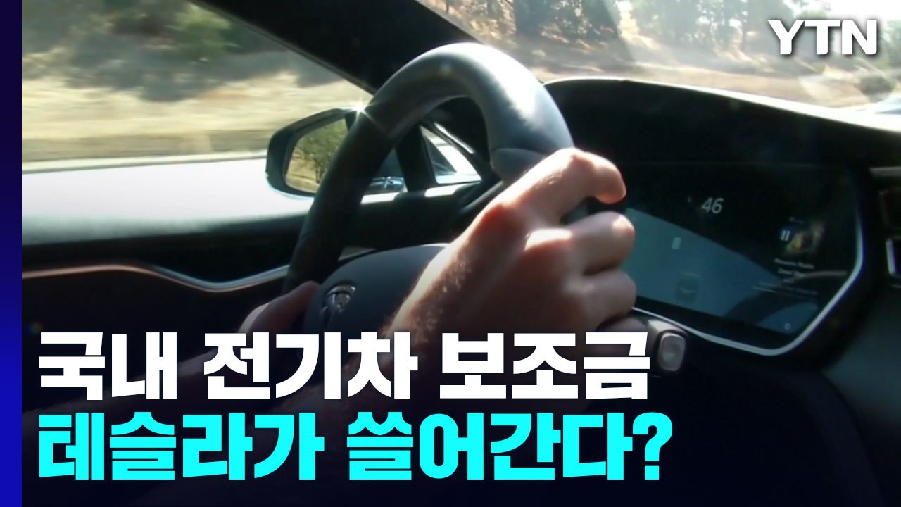 [팩트와이] 국내 전기차 보조금, 테슬라가 쓸어간다? / YTN