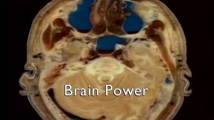 The Human Body | Biology Documentary Series | Episode 4 - Brain Power | DocFilm