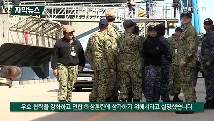 [자막뉴스] 미국 핵항모 23일 부산 입항…한국 해군과 연합훈련