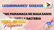SAY NI DOK | Ano ang legionnaires' disease at mga sanhi nito?