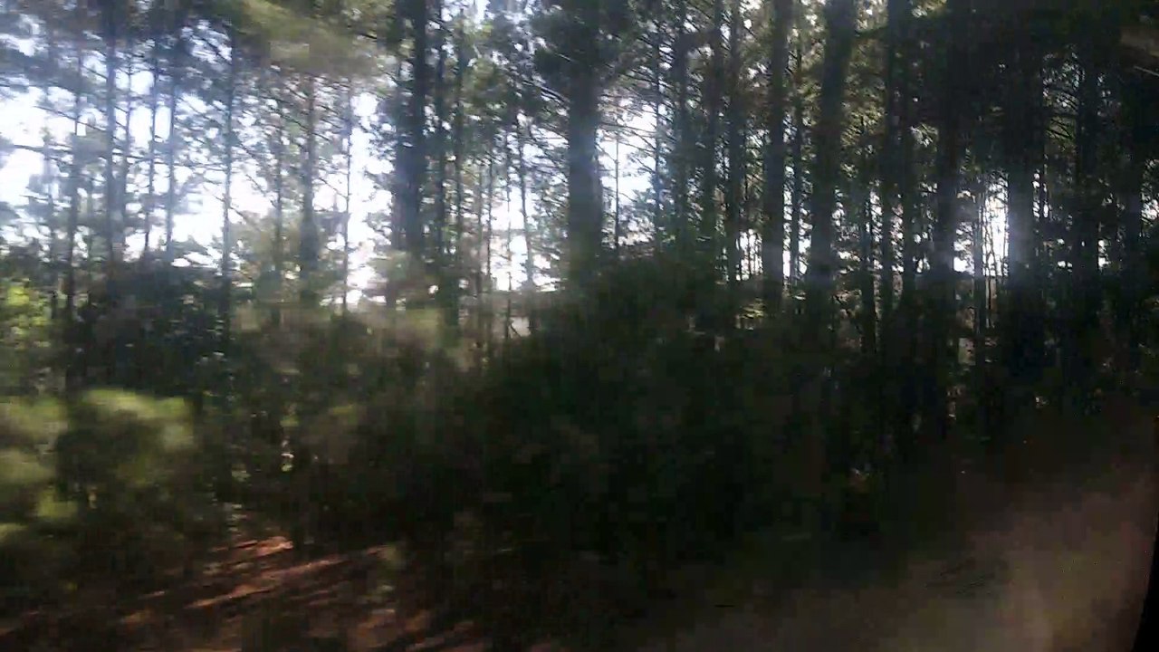 Amtrak 79 West end of Raleigh North Carolina