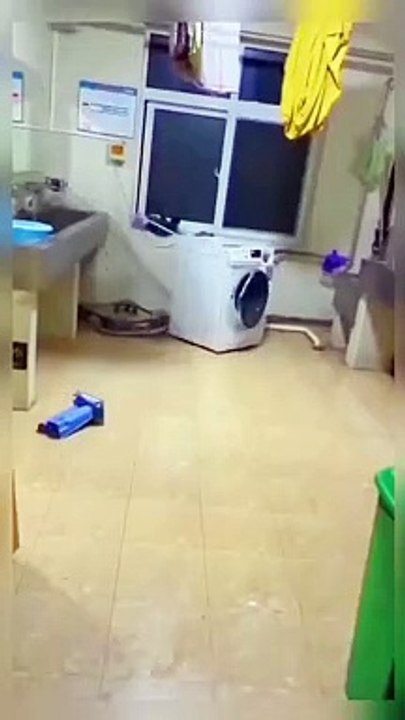 Cheap Point Gadgets For Every Home Kitchen #38 Makeup, Appliances, Useful Inventions