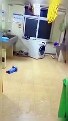 Cheap Point Gadgets For Every Home Kitchen #38 Makeup, Appliances, Useful Inventions