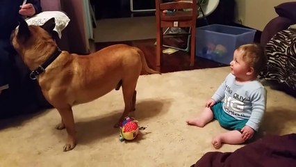 Baby laughing at dog & bubbles