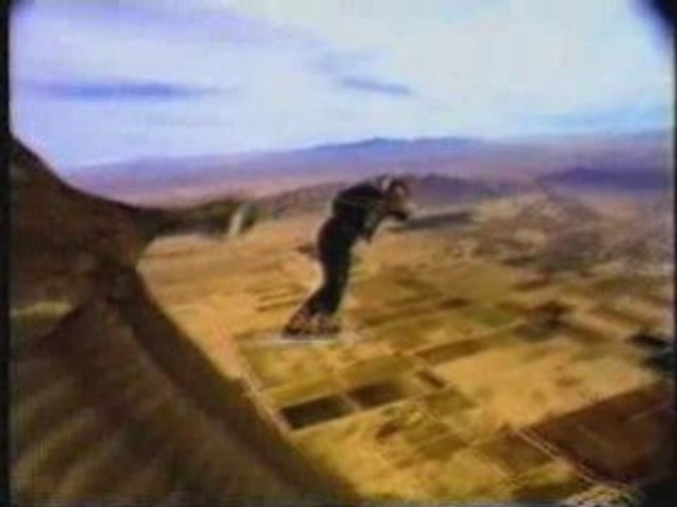 Pepsi - Skydiver and Goose - 1998