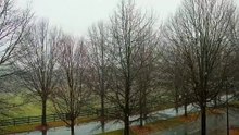 Snowfall