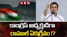 కాంగ్రెస్ అధ్యక్షుడిగా రాహుల్ ఏకగ్రీవం !? || Rahul Gandhi | ABN Telugu