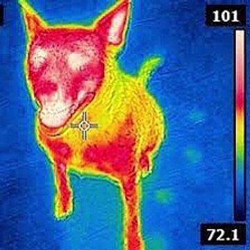 Trippie Redd - Ghostbusters INSTRUMENTAL