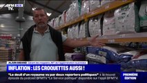 Pouvoir d'achat: le prix des croquettes pour animaux a augmenté de 10% en 2022