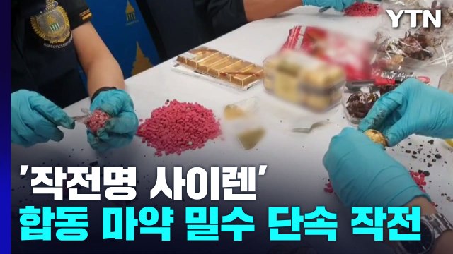 '작전명 사이렌' 한·태국 공조로 평소 3배 마약 적발 / YTN