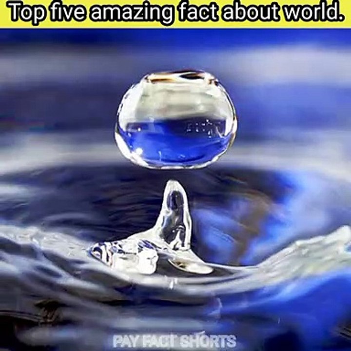 Top 5 interesting fact about world.