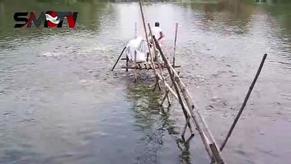 মাছ চাষে সফল কিভাবে হতে হয় দেখে নিন