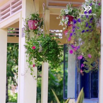 Má chồng tương lai giả làm osin thử lòng dâu nào ngờ lại phát hiện nàng dâu này không thể kết trái.